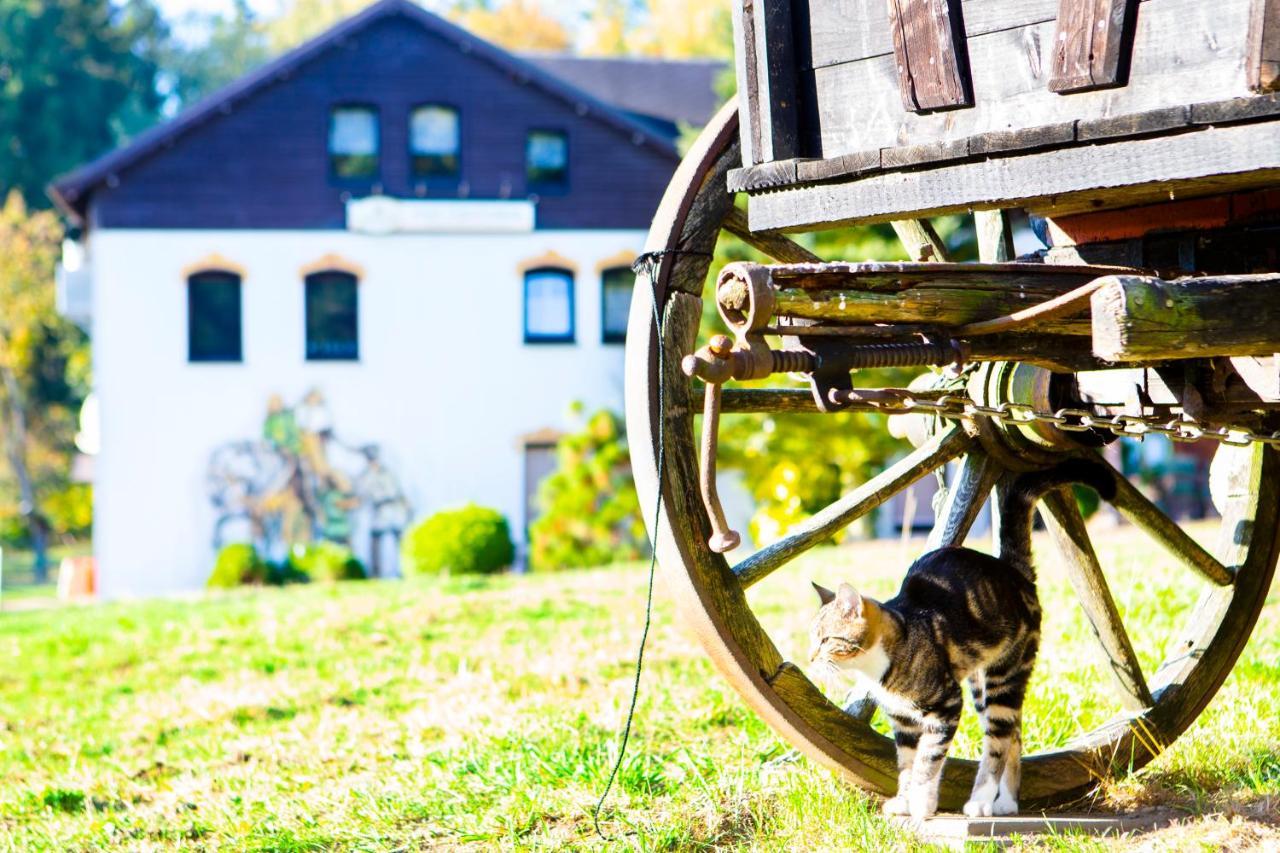 Pension Haus Fuerstenberg Beierfeld Екстериор снимка