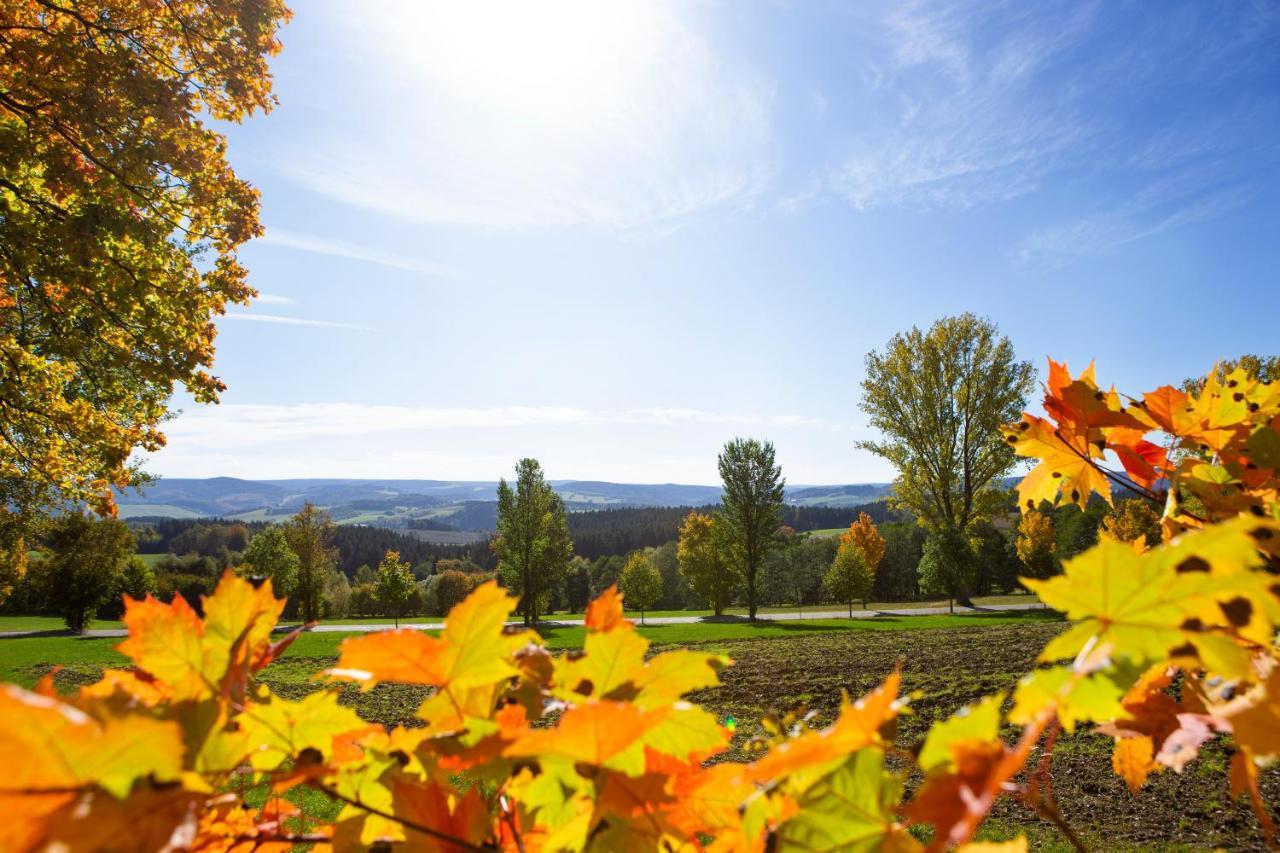 Pension Haus Fuerstenberg Beierfeld Екстериор снимка