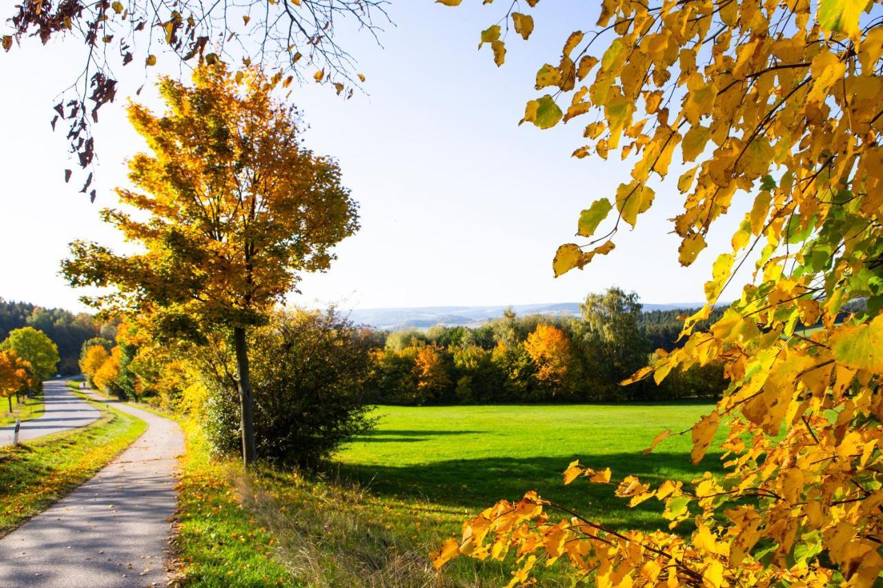 Pension Haus Fuerstenberg Beierfeld Екстериор снимка